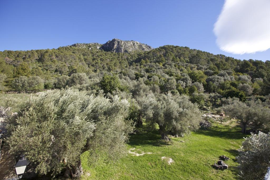 Finca Es Castell Бинибона Экстерьер фото