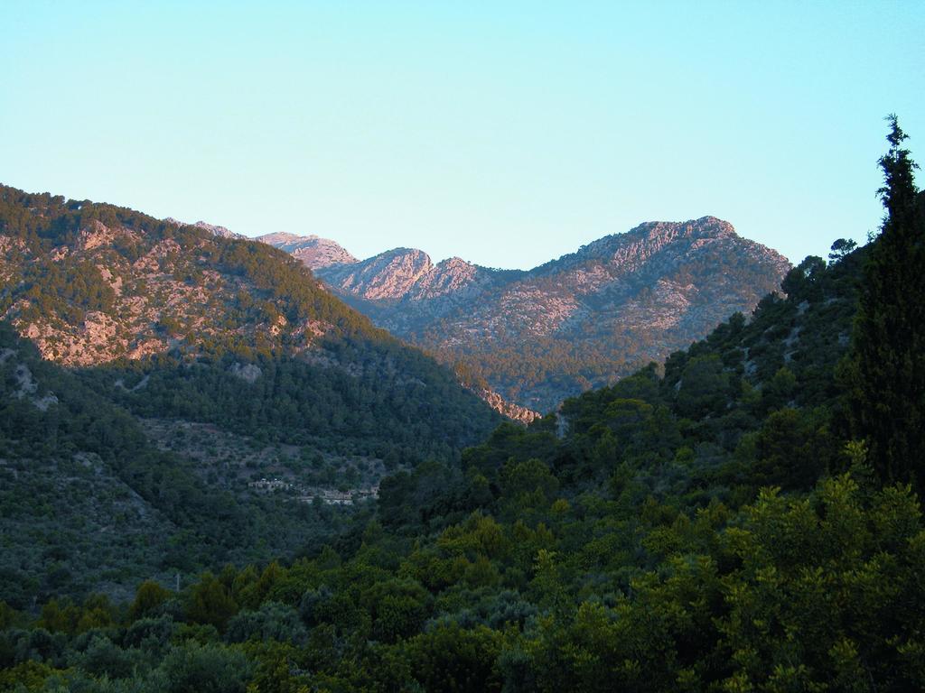Finca Es Castell Бинибона Экстерьер фото